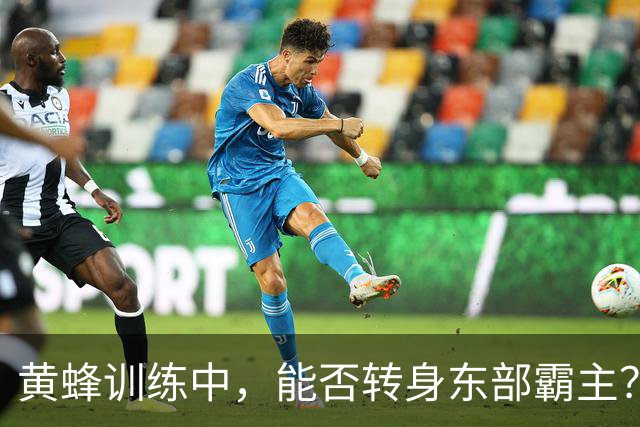 黄蜂训练中，能否转身东部霸主？